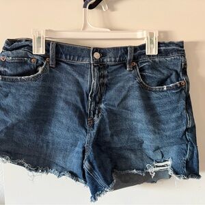 American Eagle Denim Blue Women's Shorts